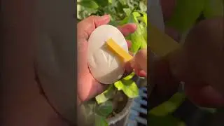 Testing ph level of Dove Bar #shorts #ytshorts #youtubeshortsvideo #trending