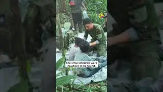 4 Colombian Children Lost After Plane Crash Found Alive In The Amazon Jungle