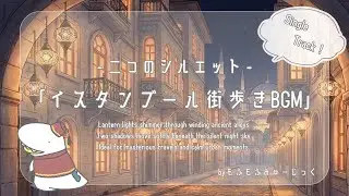 イスタンブール街歩きBGM｜二つのシルエット【不思議・異国・落ち着く / vlog・旅・night walk】
