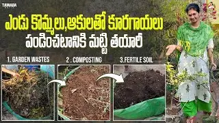 My secret for high yields /సారవంతమైన మట్టిని ఇలా తయారు చేసుకోండి . @MADGARDENER