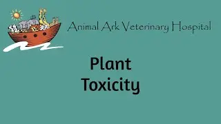 Plant Toxicity