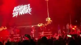 Assholes By Nature live