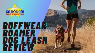 Ruffwear Roamer Leash Review