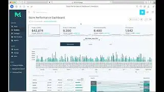 MicroStrategy Insights