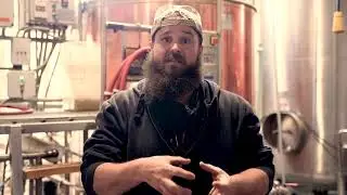 Get to Know Orange Wheat