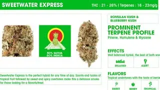 SWEETWATER EXPRESS BY: SWEETWATER FARMS