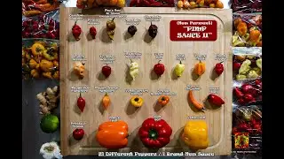 Complete Step By Step Tutorial - How To Make Hot Sauce From Fermented Peppers | Pops 