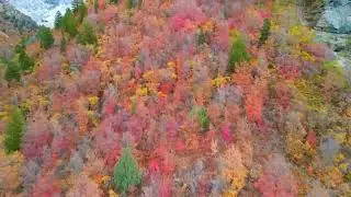 Fall Colors Lead Into Winter Snow in Utah's Taylor Canyon