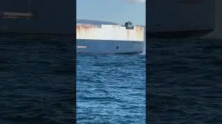 #ship #sailing #australia #shorts #roblovelace