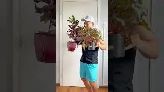 &Eacute; um caminho sem volta 😅