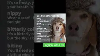 ❄️ Cold Weather Words in English 🌨️ |Learn 5 Winter Vocabulary ❄️ | English Info lab