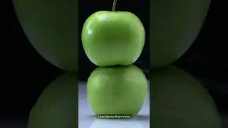 Why Do Apples Float? 🍎 #ScienceFacts #FunScience