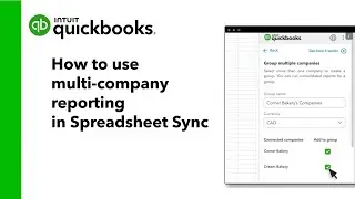 How to use multi-company reporting in Spreadsheet Sync