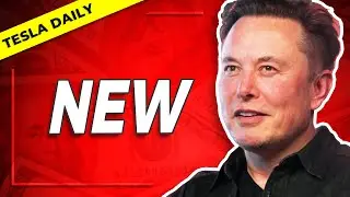 New Cybertruck Details, New Model Y Variant, Tesla Semi Insights