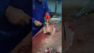 You&rsquo;ve Never Seen Fish Cut Like This! (Butterfly Style)