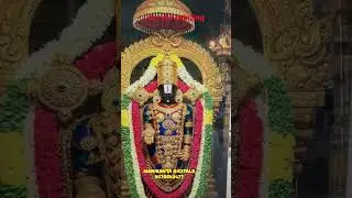 Tirupati Balaji photo frame #venkateswaraswamy