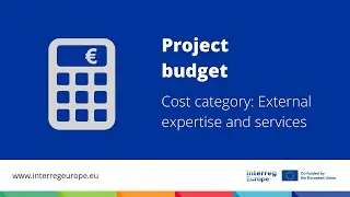 Project budget - Cost category: External expertise and services
