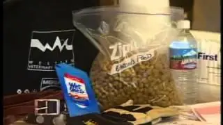 Disaster Preparedness for Pets-Pet360