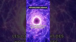Psychologie Fact 🏆 #Psychologie #FaitsPsychologiques #EspritHumain #FaitsChoquants #Sant&eacute;Mentale