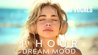 NEW 2024 🎧 CHILLOUT RELAX DREAMING MIX - 1 HOUR - No Vocals 🎧
