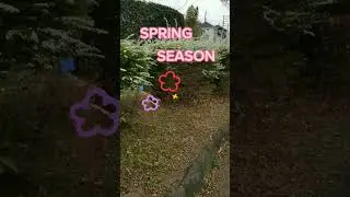 #SPRING SEASON IN JAPAN&hellip;