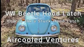 Volkswagen Beetle 1938 года: редкая история происхождения &laquo;народного автомобиля&raquo;.