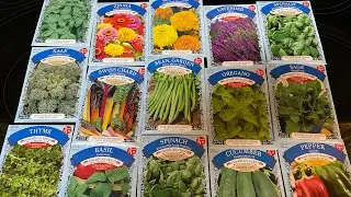 Dollar Tree seed haul - #garden #seeds #fyp  #dollartree - 1/26/2026