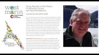 Spring Migration at Point Reyes with David Wimpfheimer