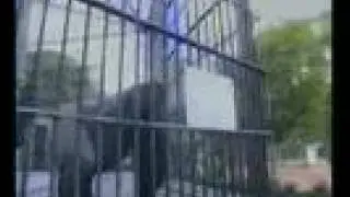 Commercial Gorilla (1991) - Even Apeldoorn bellen - Centraal Beheer