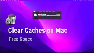 How to Clear Cache on a Mac