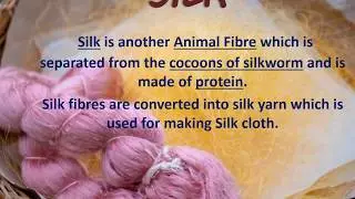 Silk - Fibre to Fabric || Animal Fibre || Chatpter 3 || Sericulture ||Class 7