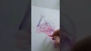 colored pencils art process #coloredpencils #makingart #artlife #birdart #artist #art #artwork