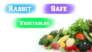 Safe veggies for Bunny's