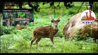 Official Documentary 4K - Department of National Zoological Gardens in SL