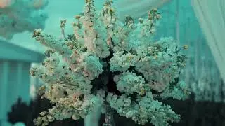 باغ تالار فرمانیه