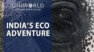 Uniworld & TreadRight: A Luxurious Eco-Adventure Through India