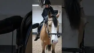 Hallsta Ridskola #nikonz8 #horse #horsefan #capcut #stable #hallsta #hastags #movie #pony #riding
