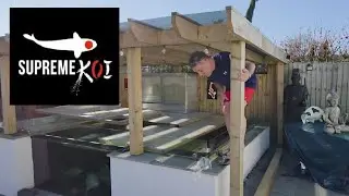 KOI KEEPING RELAXING YEAH RIGHT 🙈#freegiveaway #koi ##koikeeping #bottomdrain