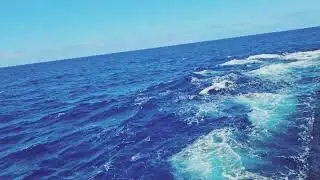 GLIMPSES OF SEA 🌊 #ocean #sea #travel #music #costal #oceanlove 