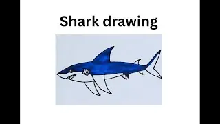 How to Draw a Shark Easy way|| shark drawing|| easy drawing|| jaki drawing academy