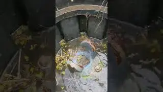 Large Leak on Fire Hydrant