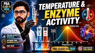 Practical Based Assessment ( PBA ) Class 12 Biology FBISE | Effect of Temperature On Enzyme Activity