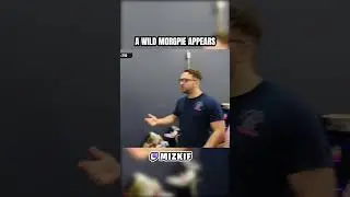 Morgpie appears on Mizkif stream