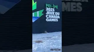 #Канада #CanadaGames #бокс #Спорт #Canada #boxing #Pei #спортвканаде #досуг #досугвканаде