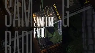 Зацикливание радио на Spotykach @SynthuxAcademy #dawless #looper #synthesizer #sounddesign