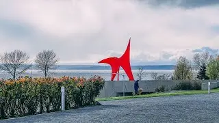 Getting Lost in Seattle (From Olympic Park Sculpture Garden)