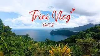 Trini Christmas Vlog Part 2 - Go-Karting, Restaurants, Beach and Coffee