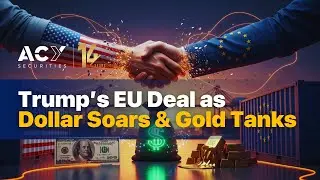 Markets Turn Risk-On as Euro Sinks, Dollar Gains Ahead of Central Bank Decisions