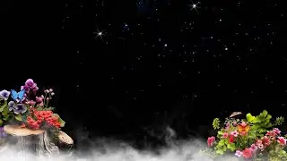 Night Background Video With Shining Star Effect Black Screen And Smoke Background Video 