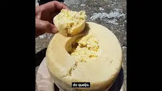 Queijo ex&oacute;tico. Conhe&ccedil;a o fascinante Casu Marzu.